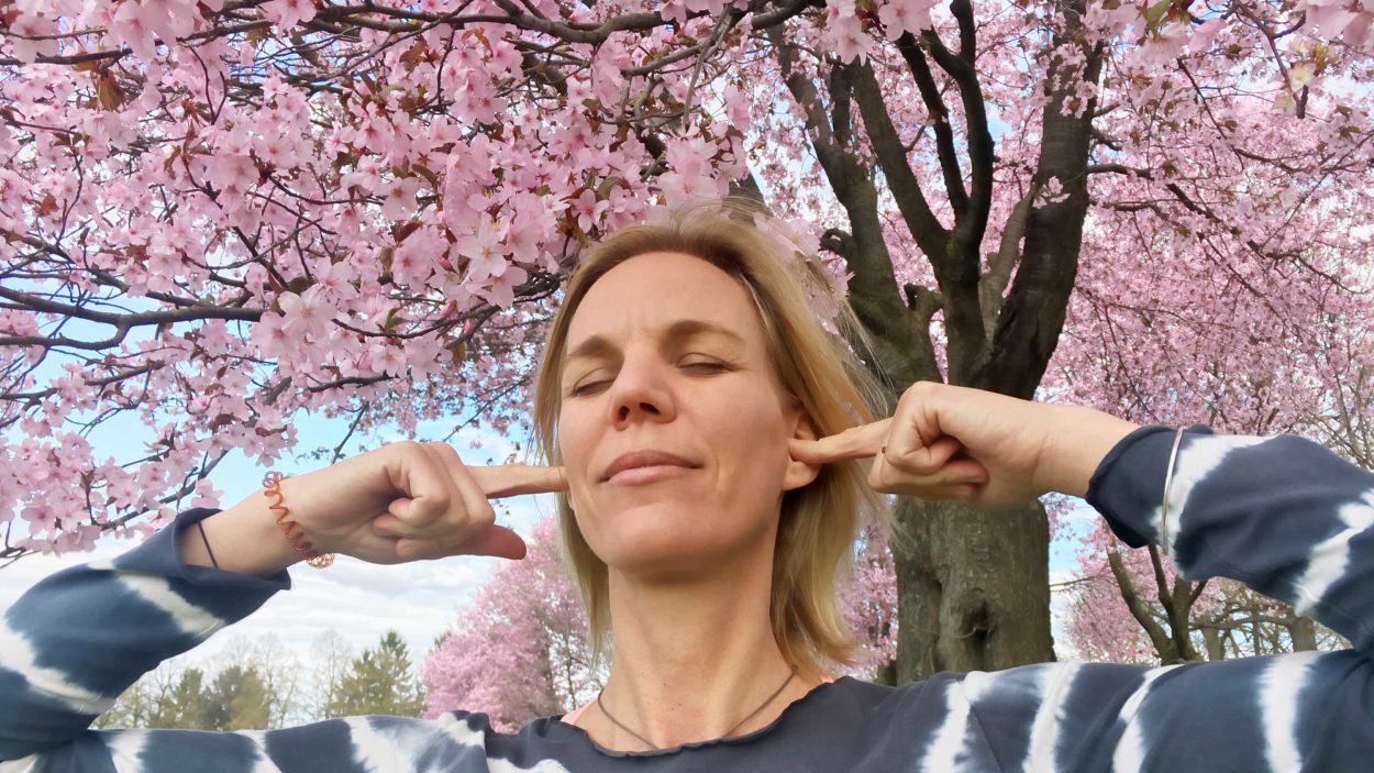 Bhramari - das Bienensummen