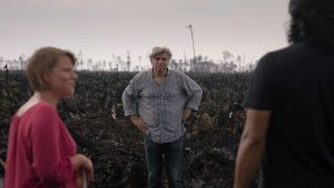 Die grüne Lüge (2018)