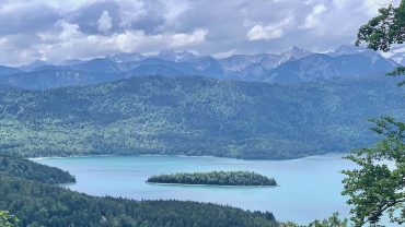 Yoga-Tipp des Tages 29. Mai 2020