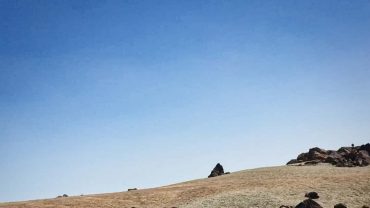 Yoga-Tipp des Tages 5. Juni 2020