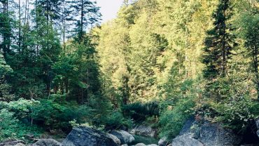 Yoga-Tipp des Tages 15. Juni 2020