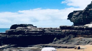 Themenwoche #yogaeverywhere: Sydney