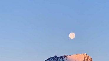 Themenwoche #yogabalance: Halbmond