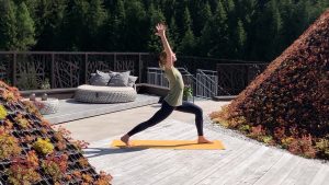 Wie geht eigentlich Dragon’s Flight?