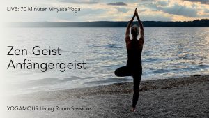 Zen-Geist (Anfängergeist)