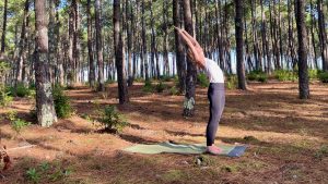 Herbst-Retreat »Entschleunigung«