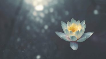 Living Room Session: Yin Yoga- Die Kraft der Stille