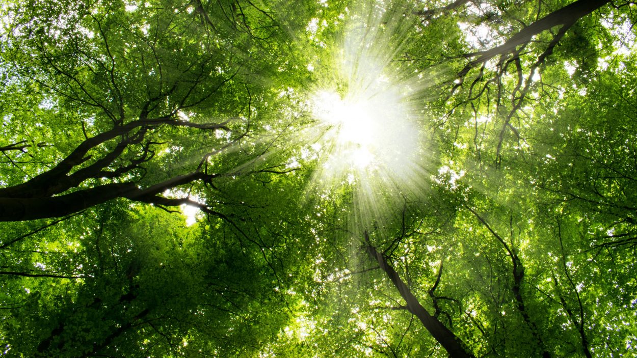 Meditatives Zirkeltraining Fantasie