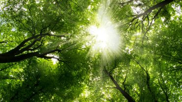 Meditatives Zirkeltraining Fantasie