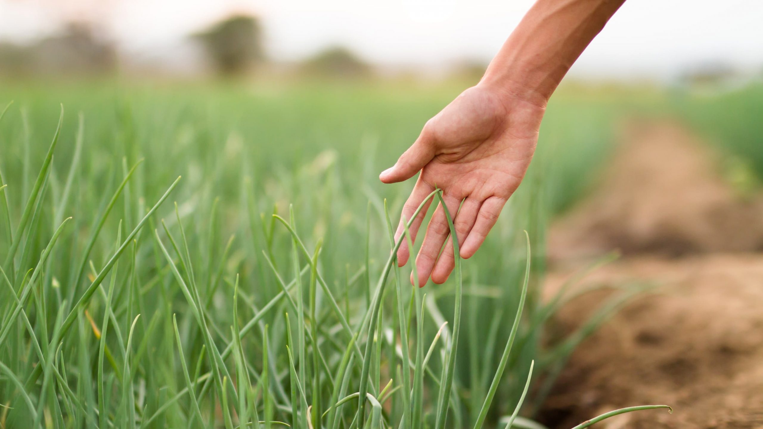 Meditation Altes weises Ich