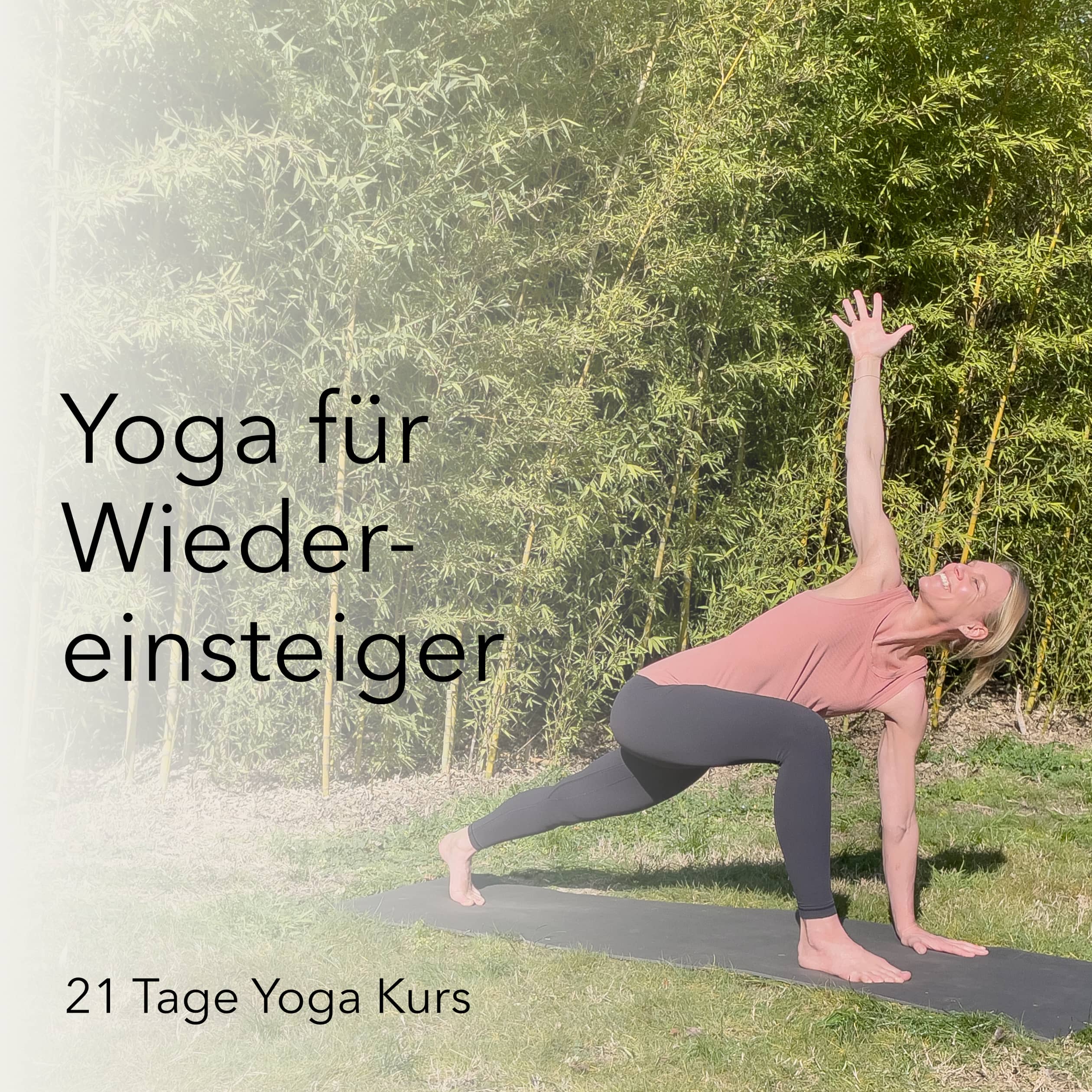 Dein Yogakurs für Wiedereinsteiger
