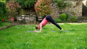 Yogapraxis für hypermobile Körper 