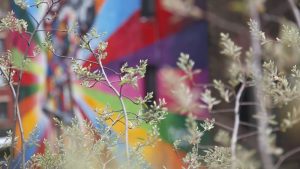 Was macht mich gerade froh? (Teil 1)