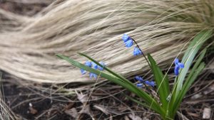 Was macht mich gerade froh? (Teil 2)