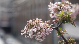 Was macht mich gerade froh? (Teil 5)