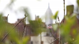 Was macht mich gerade froh? (Teil 6)