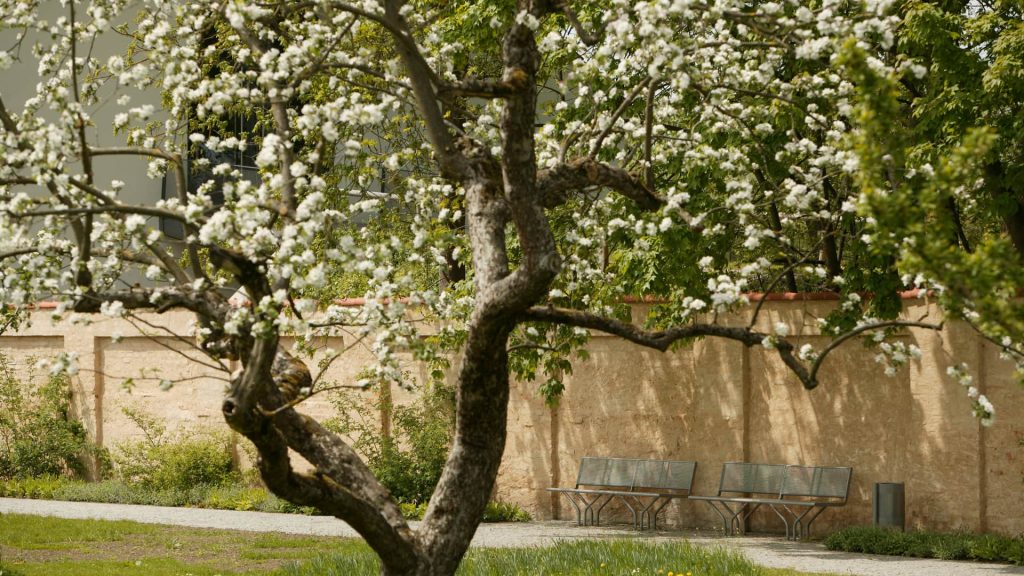 Hotel Fürstenfelder, Fürstenfeldruck – Garten