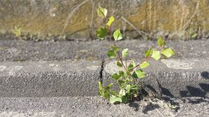 Mindful Sightseeing für Fortgeschrittene