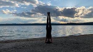 Live-Herbst-Challenge »Yang & Yin« – Tag 4