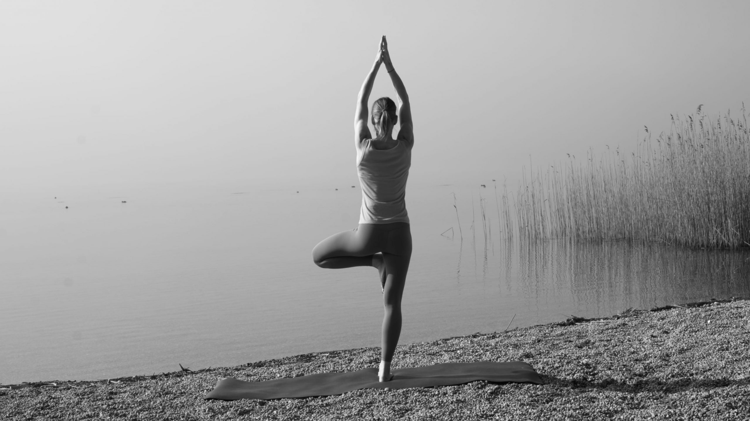 Ankündigung: Live-Frühjahrs-Challenge Rama Dama 6 – Tag 1