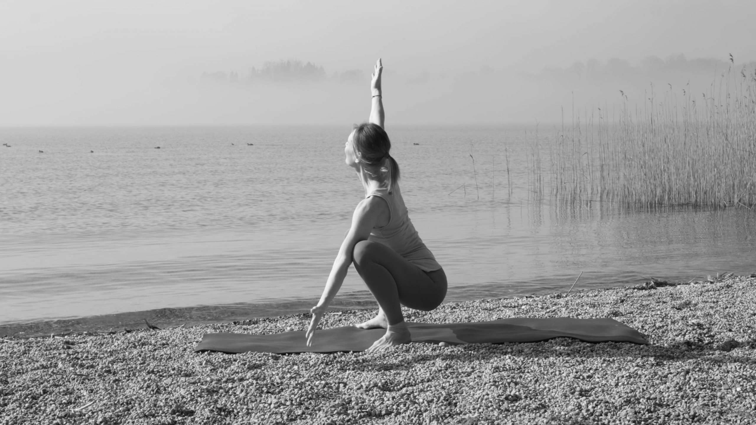 Ankündigung: Live-Frühjahrs-Challenge Rama Dama 6 – Tag 2