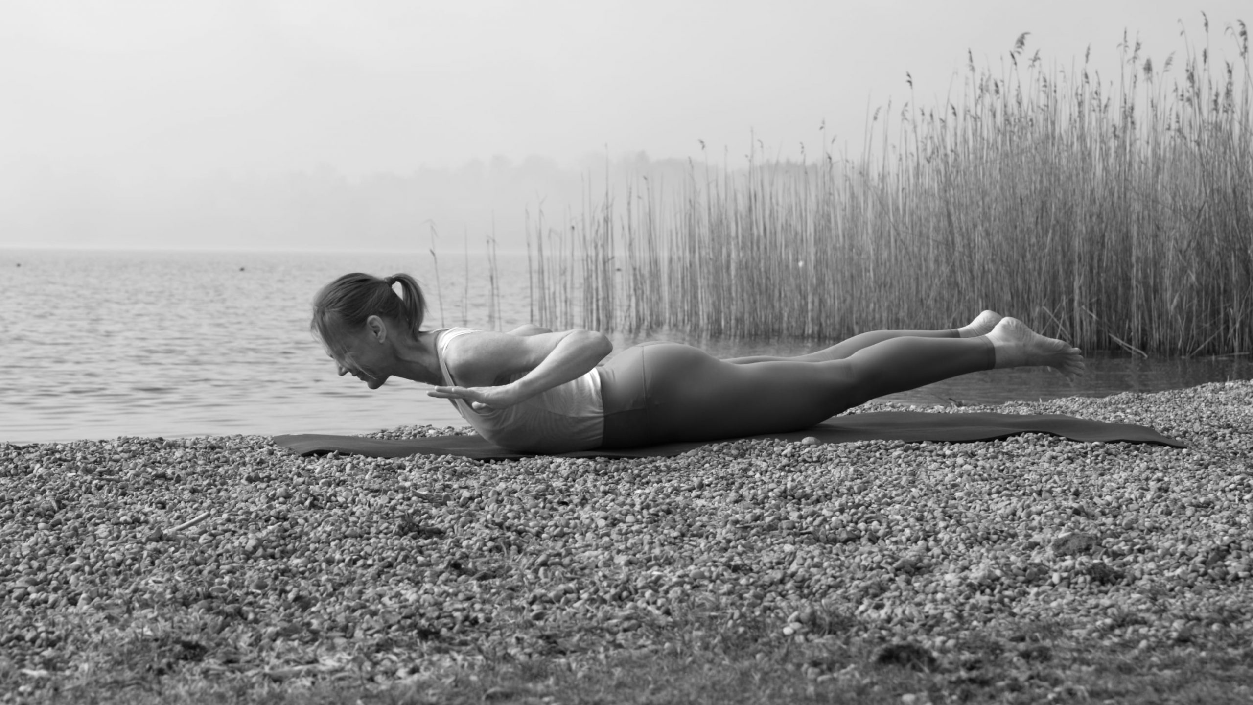 Ankündigung: Live-Frühjahrs-Challenge Rama Dama 6 – Tag 4