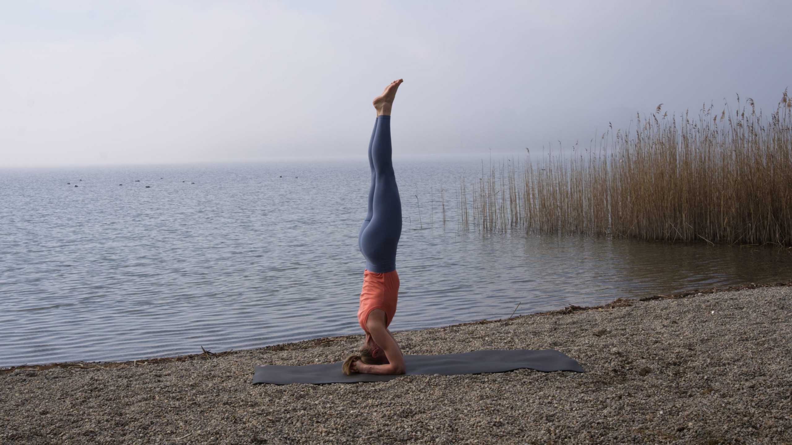 Live-Frühjahrs-Challenge Rama Dama 6 »Prana Dusche« – Tag 5