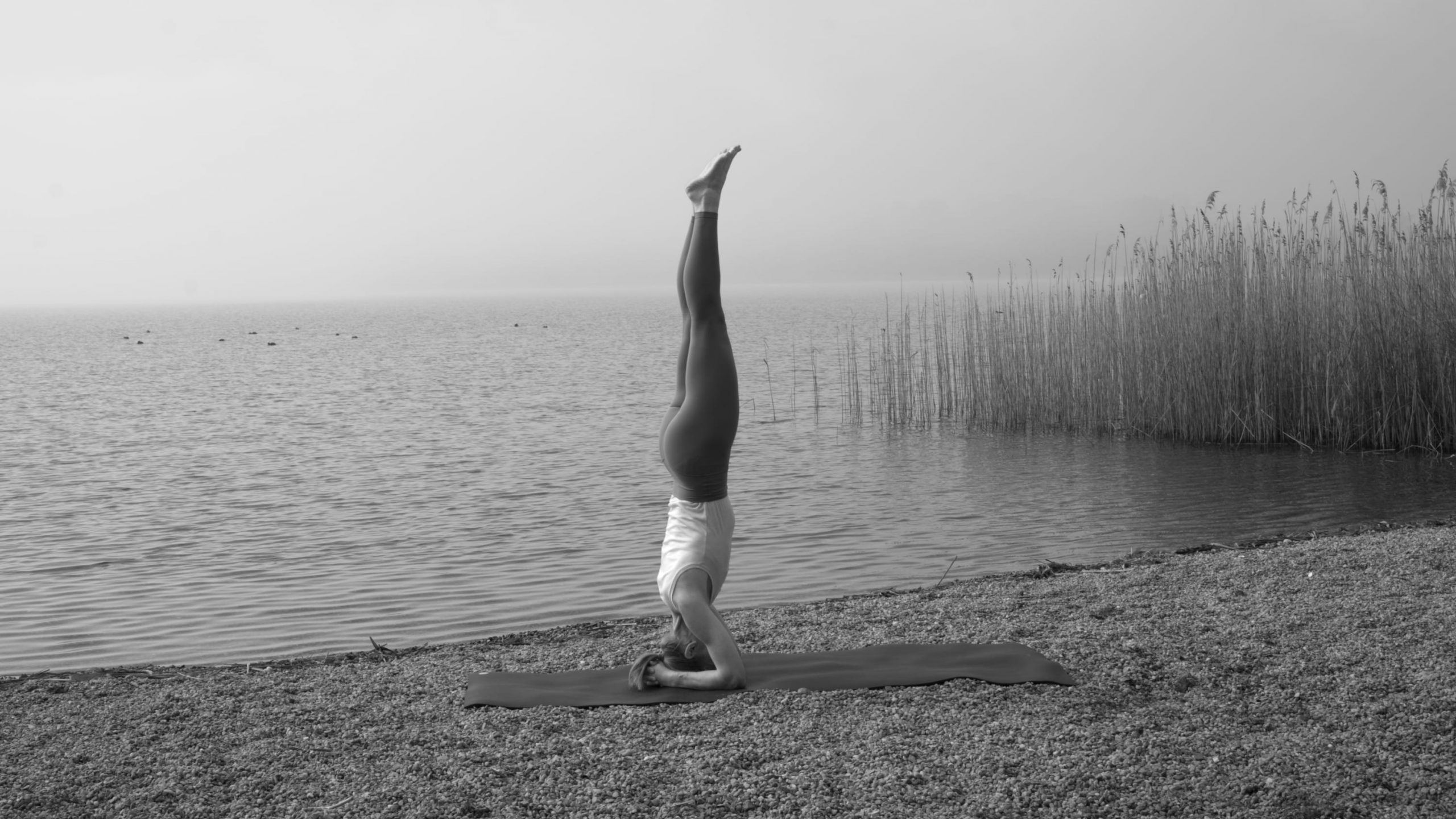 Ankündigung: Live-Frühjahrs-Challenge Rama Dama 6 – Tag 5