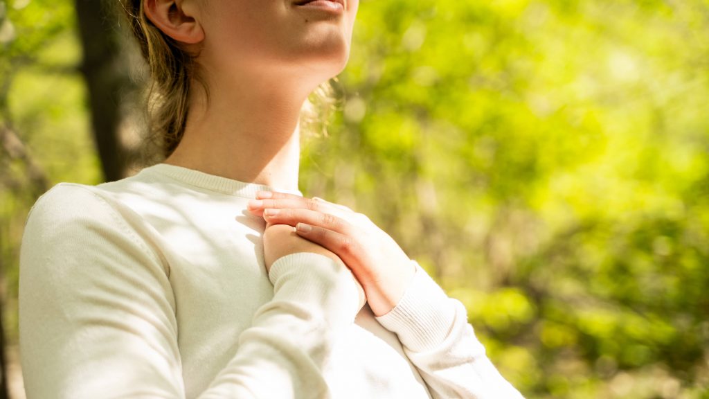 Metta Meditations Quickie