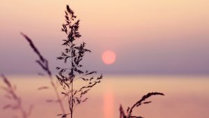 Meditatives Zirkeltraining 4 – für einen ruhigen Geist