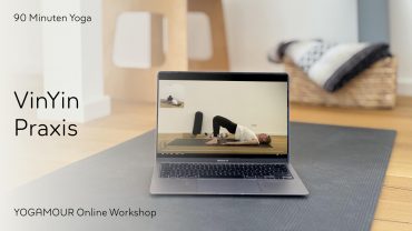 VinYin-FAYQ-Workshop Teil 1: Praxis